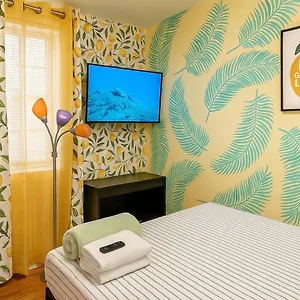 Lemon Vibes Harlem Affordable Comfort New York
